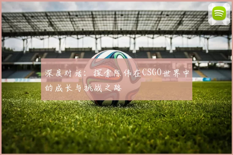深度对话：探索陈伟在CSGO世界中的成长与挑战之路