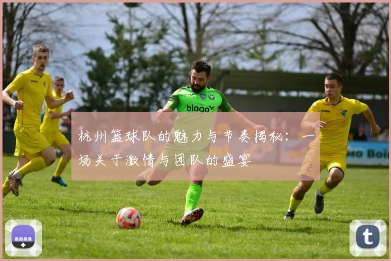 杭州篮球队的魅力与节奏揭秘：一场关于激情与团队的盛宴