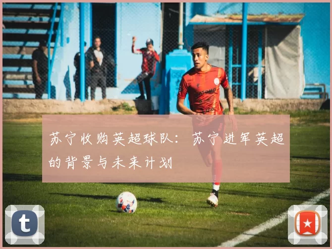 苏宁收购英超球队：苏宁进军英超的背景与未来计划