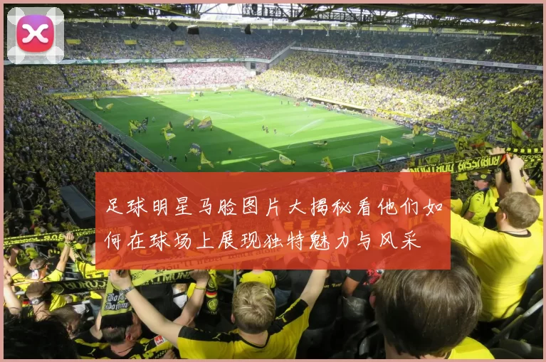 足球明星马脸图片大揭秘看他们如何在球场上展现独特魅力与风采