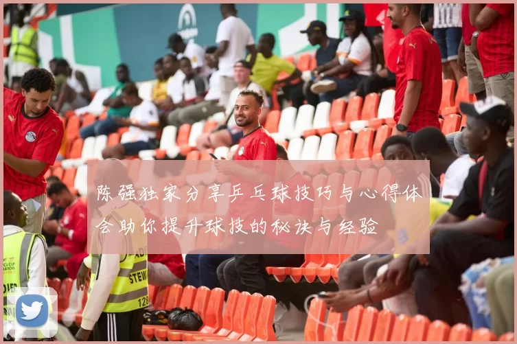 陈强独家分享乒乓球技巧与心得体会助你提升球技的秘诀与经验