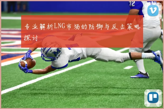 专业解析LNG市场的防御与反击策略探讨