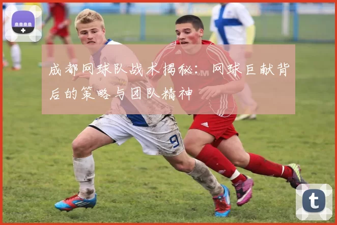 成都网球队战术揭秘：网球巨献背后的策略与团队精神
