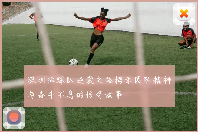 深圳排球队逆袭之路揭示团队精神与奋斗不息的传奇故事
