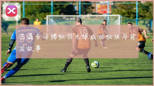 王磊专访揭秘羽毛球成功秘诀与背后故事