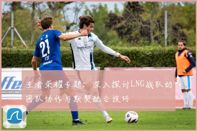 王者荣耀专题：深入探讨LNG战队的团队协作与默契配合技巧