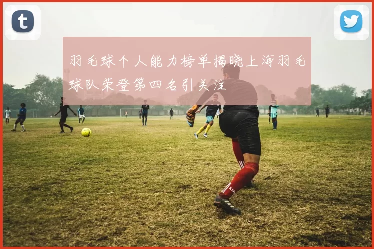 羽毛球个人能力榜单揭晓上海羽毛球队荣登第四名引关注