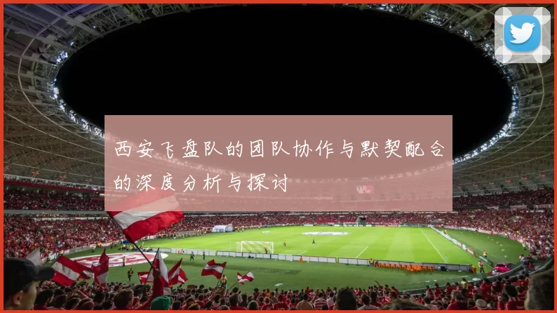 西安飞盘队的团队协作与默契配合的深度分析与探讨