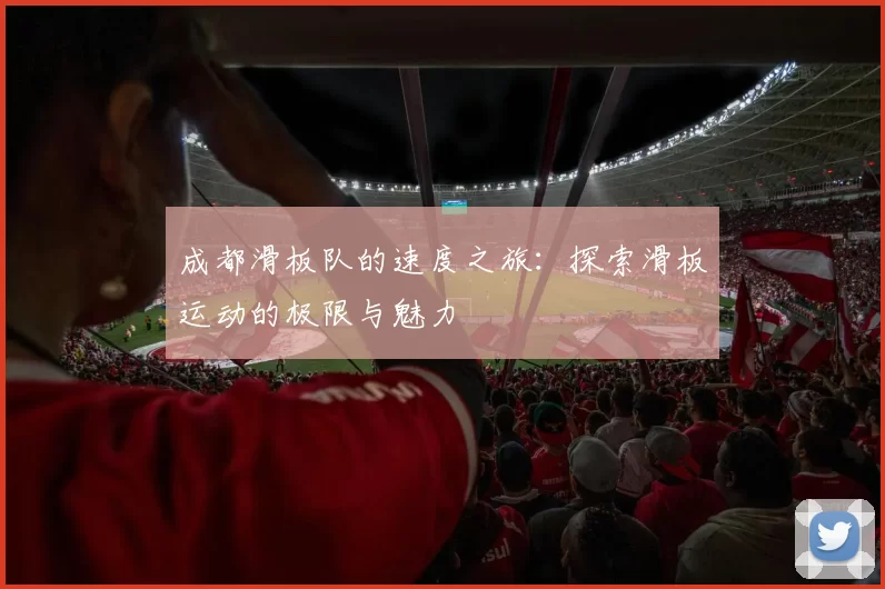 成都滑板队的速度之旅：探索滑板运动的极限与魅力