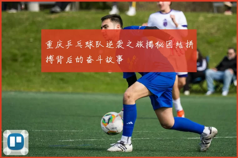 重庆乒乓球队逆袭之旅揭秘团结拼搏背后的奋斗故事