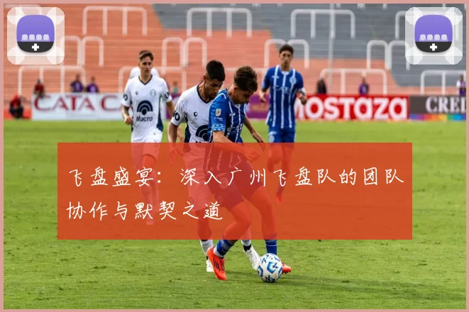飞盘盛宴：深入广州飞盘队的团队协作与默契之道