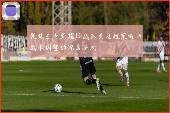 聚焦王者荣耀IG战队灵活性策略与战术调整的深度分析