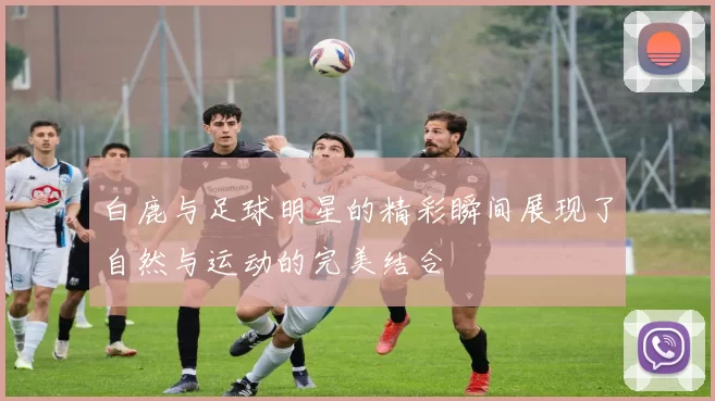 白鹿与足球明星的精彩瞬间展现了自然与运动的完美结合