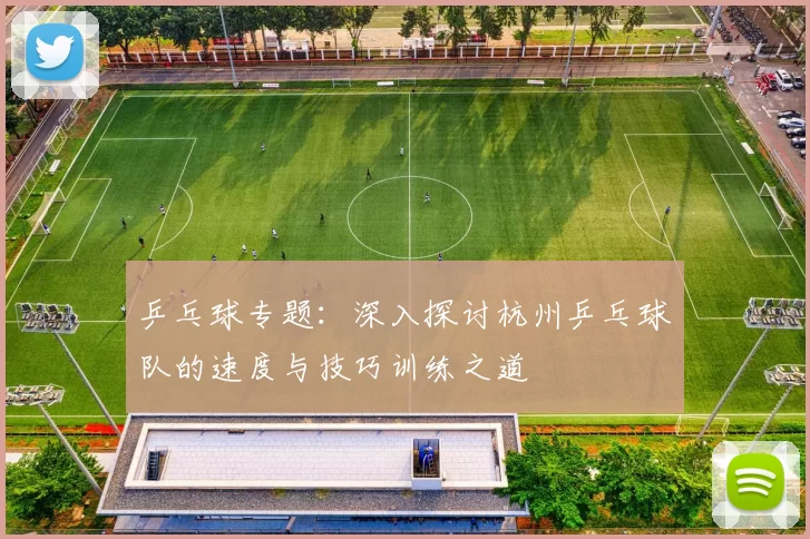 乒乓球专题：深入探讨杭州乒乓球队的速度与技巧训练之道