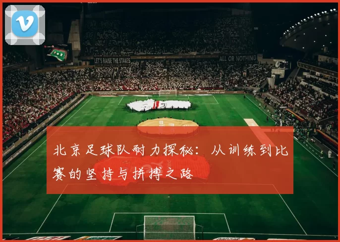 北京足球队耐力探秘：从训练到比赛的坚持与拼搏之路