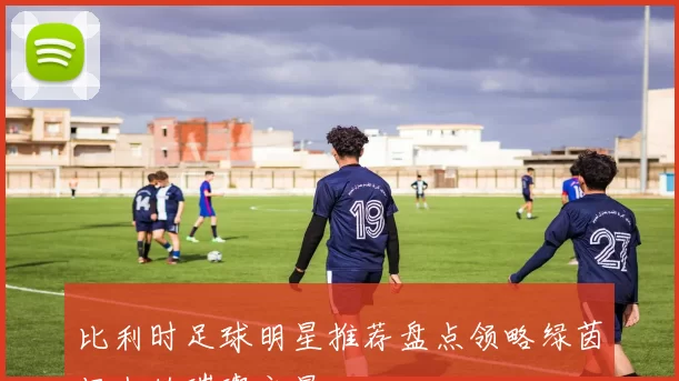比利时足球明星推荐盘点领略绿茵场上的璀璨之星