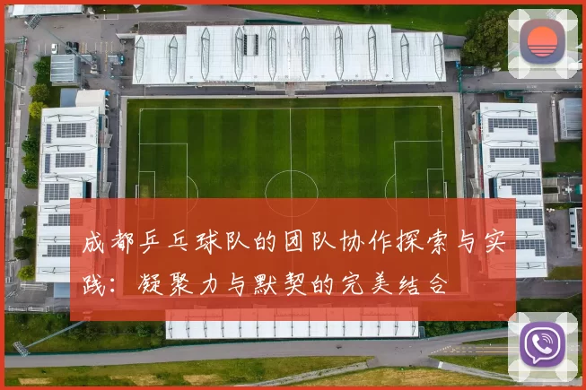 成都乒乓球队的团队协作探索与实践：凝聚力与默契的完美结合