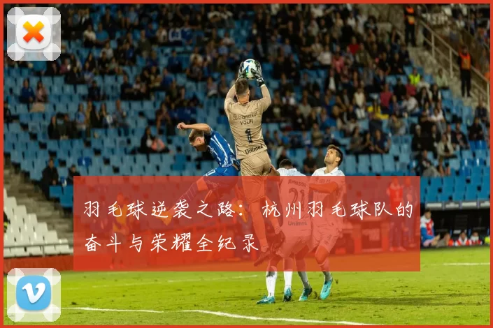 羽毛球逆袭之路：杭州羽毛球队的奋斗与荣耀全纪录