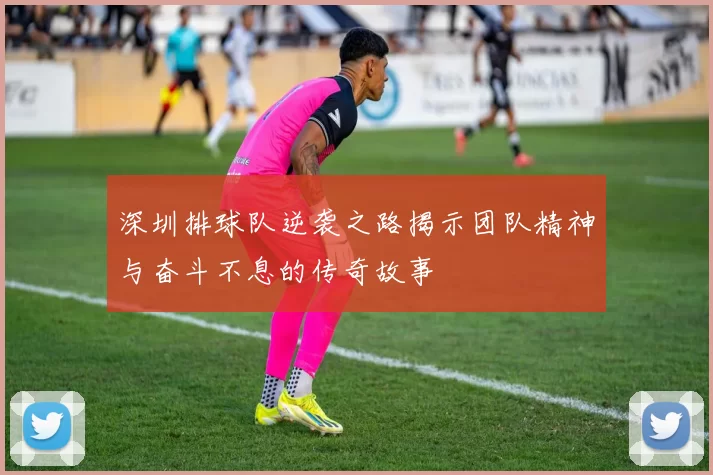 深圳排球队逆袭之路揭示团队精神与奋斗不息的传奇故事