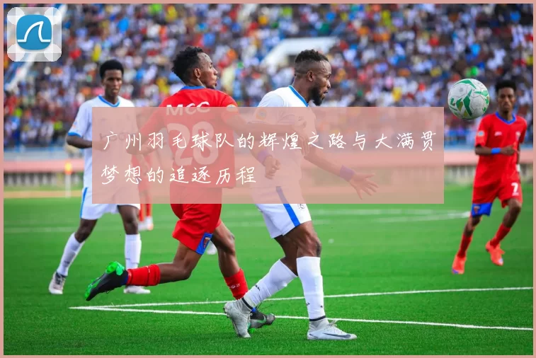 广州羽毛球队的辉煌之路与大满贯梦想的追逐历程