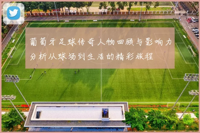 葡萄牙足球传奇人物回顾与影响力分析从球场到生活的精彩旅程