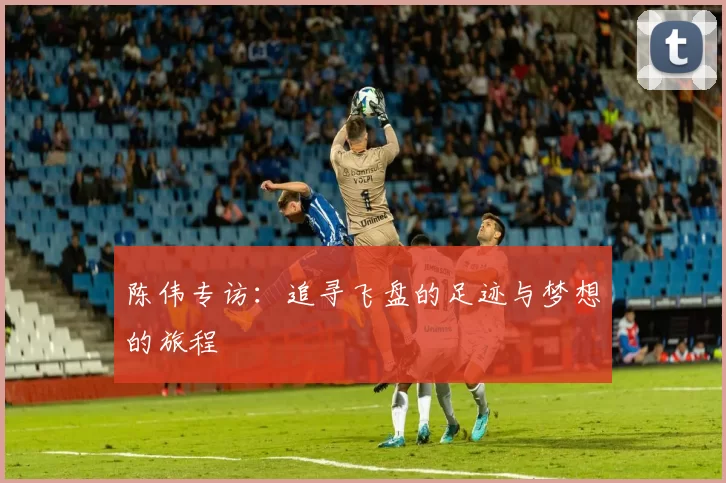 陈伟专访：追寻飞盘的足迹与梦想的旅程