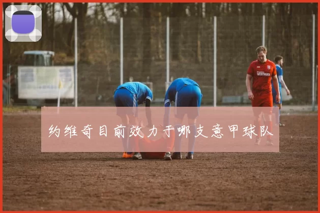 约维奇目前效力于哪支意甲球队